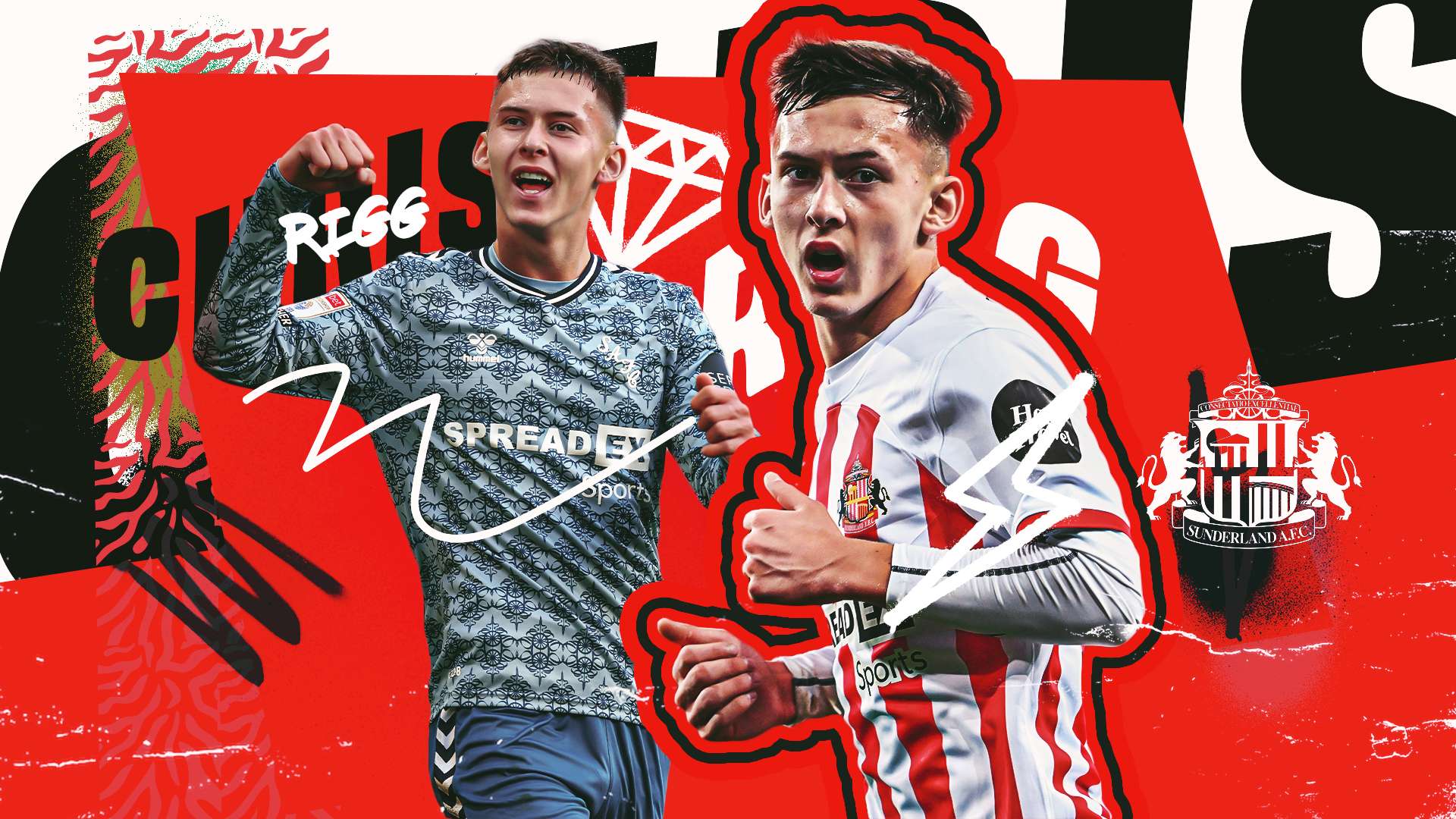 从而提升了 从而提升了